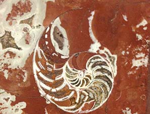 Метроквест